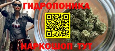 стафф Жуковский