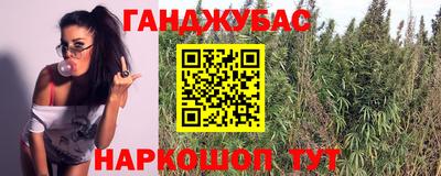 ГАЛЛЮЦИНОГЕННЫЕ ГРИБЫ Заволжье