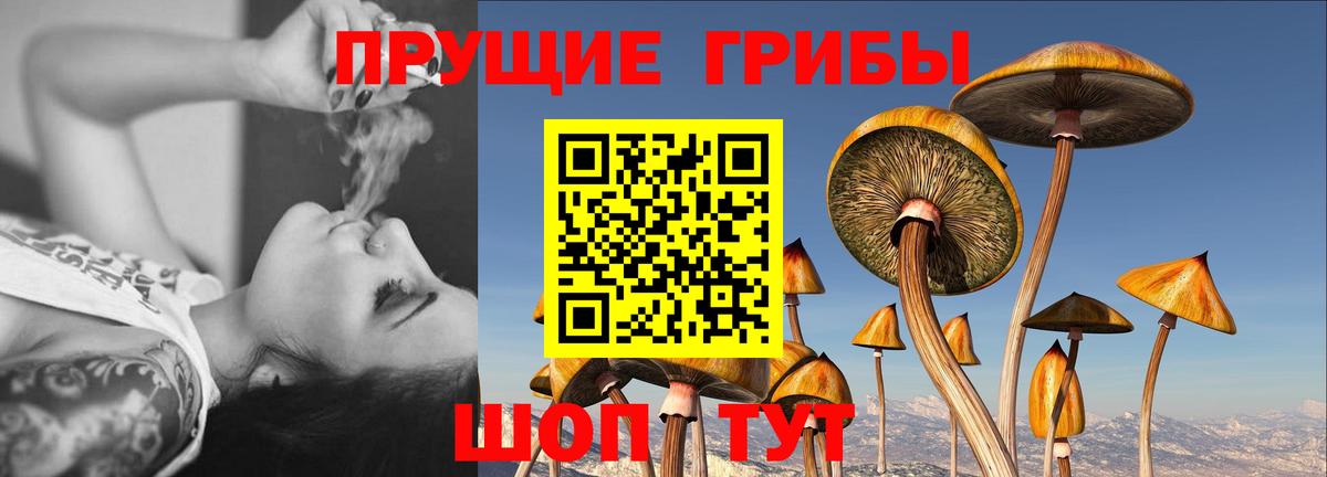 Псилоцибиновые грибы Psilocybine cubensis  Вход с VPN  Минеральные Воды 